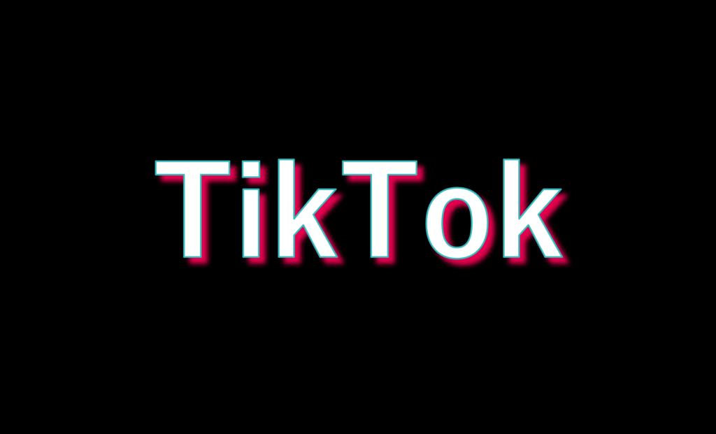 6.TikTokの「利用者数・特徴」「年代・男女比」